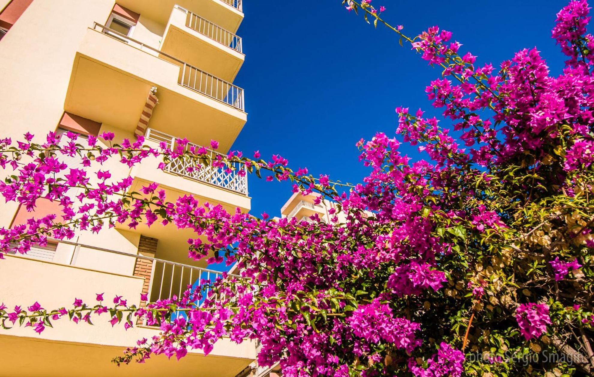 Appartamento 237 Estudio En Minerva - Piscina Y Playa- Excelente Ubicacion