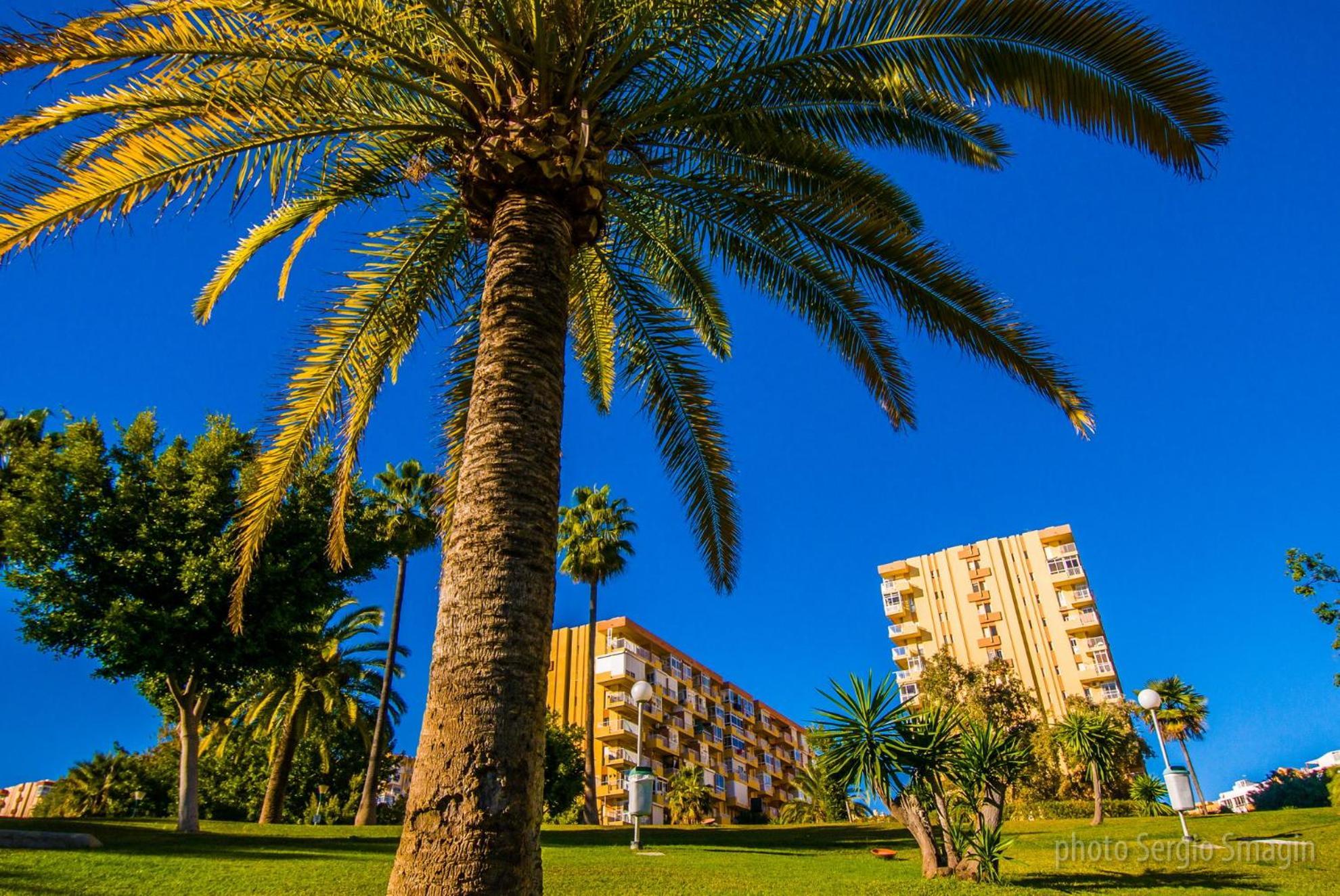 Appartamento 237 Estudio En Minerva - Piscina Y Playa- Excelente Ubicacion Málaga